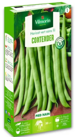 Sale VILMORIN Haricot Vert Contender - graines à semer
