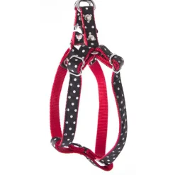 Sale MARTIN SELLIER Harnais baudrier Pois pour chien coloris noir - S