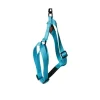 Online MARTIN SELLIER Harnais Turquoise 50/70cm