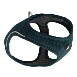 New KYFLIE Harnais veste Momentum Air Bleu