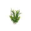 Best LABEO Herbe papillon verte en plastique 15 cm