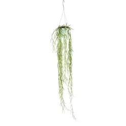 Hot Hoya Linearis suspension Ø14xH50 cm