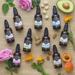 NATURE & VOUS Huile végétale vierge bio Amande douce certifiée COSMOS ORGANIC par Cosmécert selon le référentiel COSMOS - 100 ml