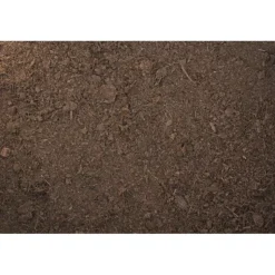 New REPTILE PLANET Humus de coco compressé pour terrarium coloris marron Forest Bedding - 650 g