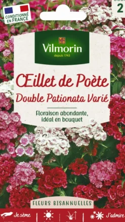 Outlet VILMORIN Œillet de Poète Double Pationata Varié - graines à semer