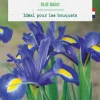 Hot BOTANIC® Iris hollandica blue magic - 25 bulbes