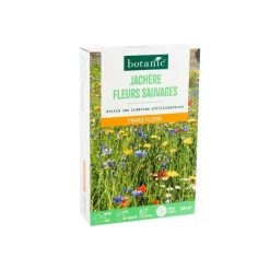 Hot BOTANIC® Jachère de graines fleurs sauvages - graines à semer (100 m²)