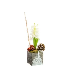 Sale BOTANIC® Jacinthe en pot bois décor zinc