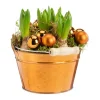 Discount BOTANIC® Jacinthe x 5 coupe cuivre - Ø 15 cm