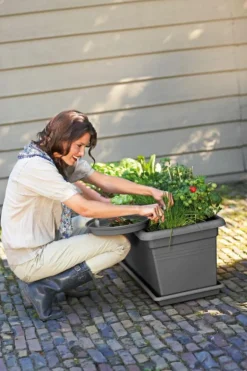 Best ELHO Jardinière Green basics jardin XXL L78 cm x p38 cm x h34,2 cm noir