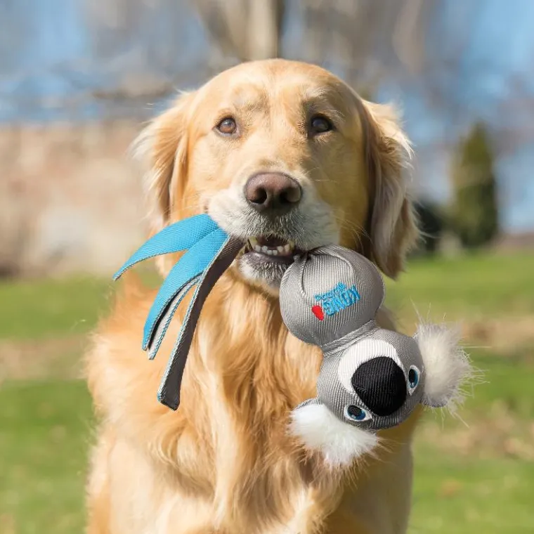 Online KONG Jouet pour chien coloris bleu Wubba Zoo Koala - Taille L