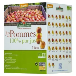 New CÔTEAUX NANTAIS Jus de Pommes Bio BIB 5 L