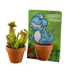 Hot RADIS ET CAPUCINE Kit de plantation graines de plante carnivore carte nature T-Rex