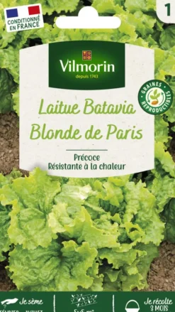 Discount VILMORIN Laitue Batavia Blonde de Paris - graines à semer