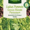 New VILMORIN Laitue Pommée Grosse Blonde Paresseuse - graines à semer