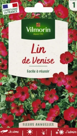Hot VILMORIN Lin de Venise - graines à semer