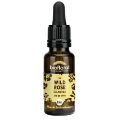 Clearance BIOFLORAL Élixir n°37 d’églantier en flacon de 20 ml