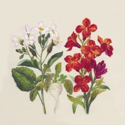 Sale PAPER DESIGN Lot de 25 serviettes 2 plis Botanical coloris multicolore en papier recyclé - 33 x 33 cm