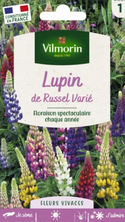 Best VILMORIN Lupin de Russel Varié - graines à semer