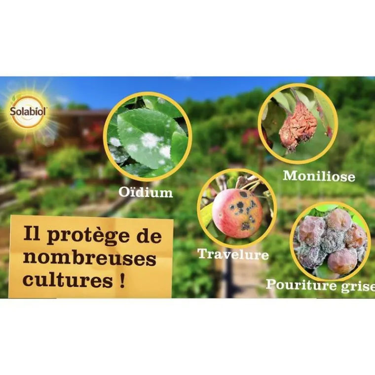 Discount SOLABIOL Maladies Polyvalent Spray 750 ml