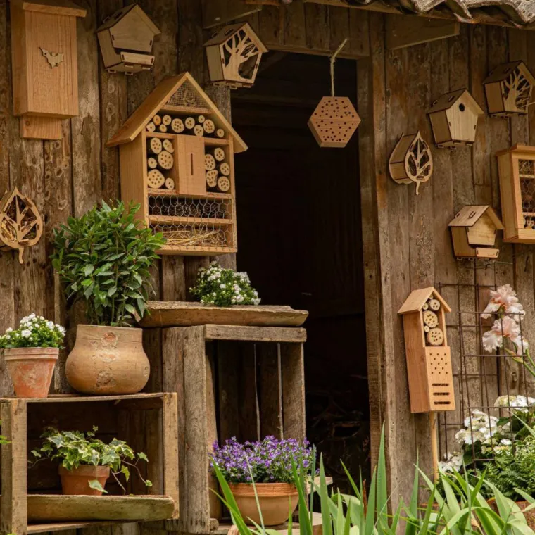 Discount BOTANIC® Mangeoire pour écureuil en bois coloris naturel