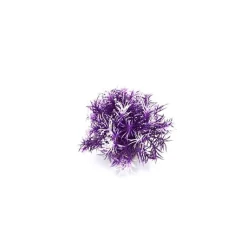 Best LABEO Massif de sprengeri violet en plastique 12 cm