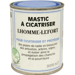 Sale LHOMME-LEFORT Mastic à Cicatriser 200 g 7,2x7,2x8,5 cm
