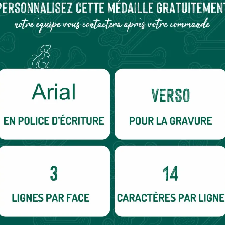 MYFAMILY Médaille classic grand os rose pour chien en acier