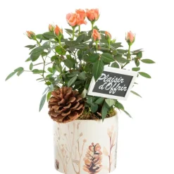 Online BOTANIC® Mini rosier pot céramique décor sous-bois - Ø 12 cm