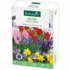 Clearance BOTANIC® Mélange balcon et terrasse - 40 bulbes