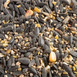 Hot GRAIN DE VIE Mélange de graines bio pour oiseaux - 5kg