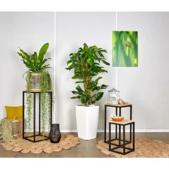 Discount Monstera et son pot Cubico premium Ø 30 blanc