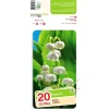 Outlet ERNEST TURC Muguet blanc x 20 griffes calibre 1