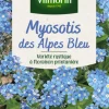 Best VILMORIN Myosotis des Alpes bleu - graines à semer