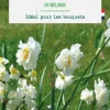 New BOTANIC® Narcisse en mélange - 15 bulbes
