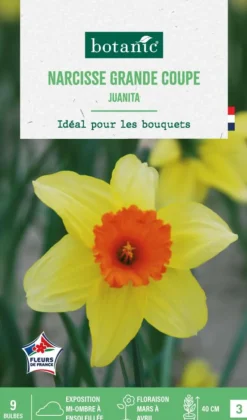 Hot BOTANIC® Narcisse grande coupe juanita - 9 bulbes