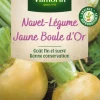 Hot VILMORIN Navet Jaune Boule d'Or - graines à semer
