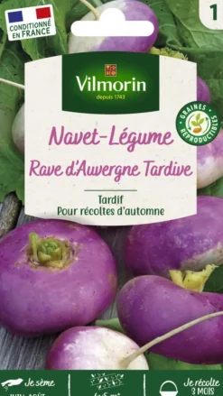 Outlet VILMORIN Navet Rave d'Auvergne tardif - graines à semer