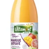 Clearance VITAMONT Nectar bio mangue goyave et citron vert – 75 cl