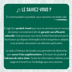 DÉCAMP' Nématodes traitement biologique contre les papillons palmivores