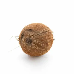 Discount Noix de coco bio de Côte d'Ivoire - Prix à la pièce