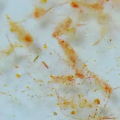 BLUE CORAL Nourriture océanique à base de plancton, FAUNA MARIN Ocean Plankton - 250ml