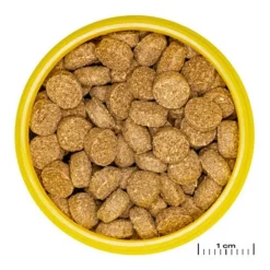 Hot JBL Nourriture pour crabe wafer - riche en protéines ProNovo - 125g / 250ml