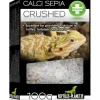 Hot REPTILE PLANET Os de seiche broyé pour tortue, lézard, rongeur et oiseau Calci Sepia Crushed - 100 g