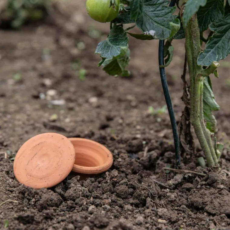 Online OYAS à enterrer Beige – Taille L