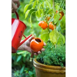 Online OYAS à planter émaillée rouge