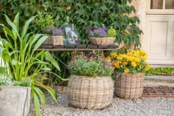 EDELMAN Panier rond haut en osier gris Marcia - Ø 36 x H 35 cm