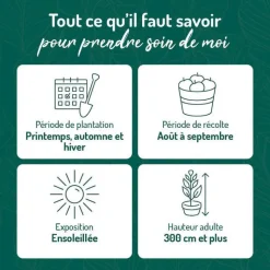 New BOTANIC® Pecher Reine Des Vergers. Le pot de 12 litres, forme gobelet