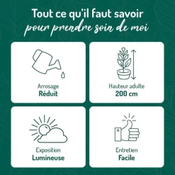 New BOTANIC® Pilosocereus azureus en pot blanc émaillé H 20 x Ø 20 cm