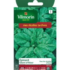 Sale VILMORIN Épinard Géant d'Hiver - graines à semer